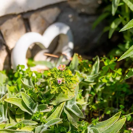 Appartamento Grguric Nada Palit